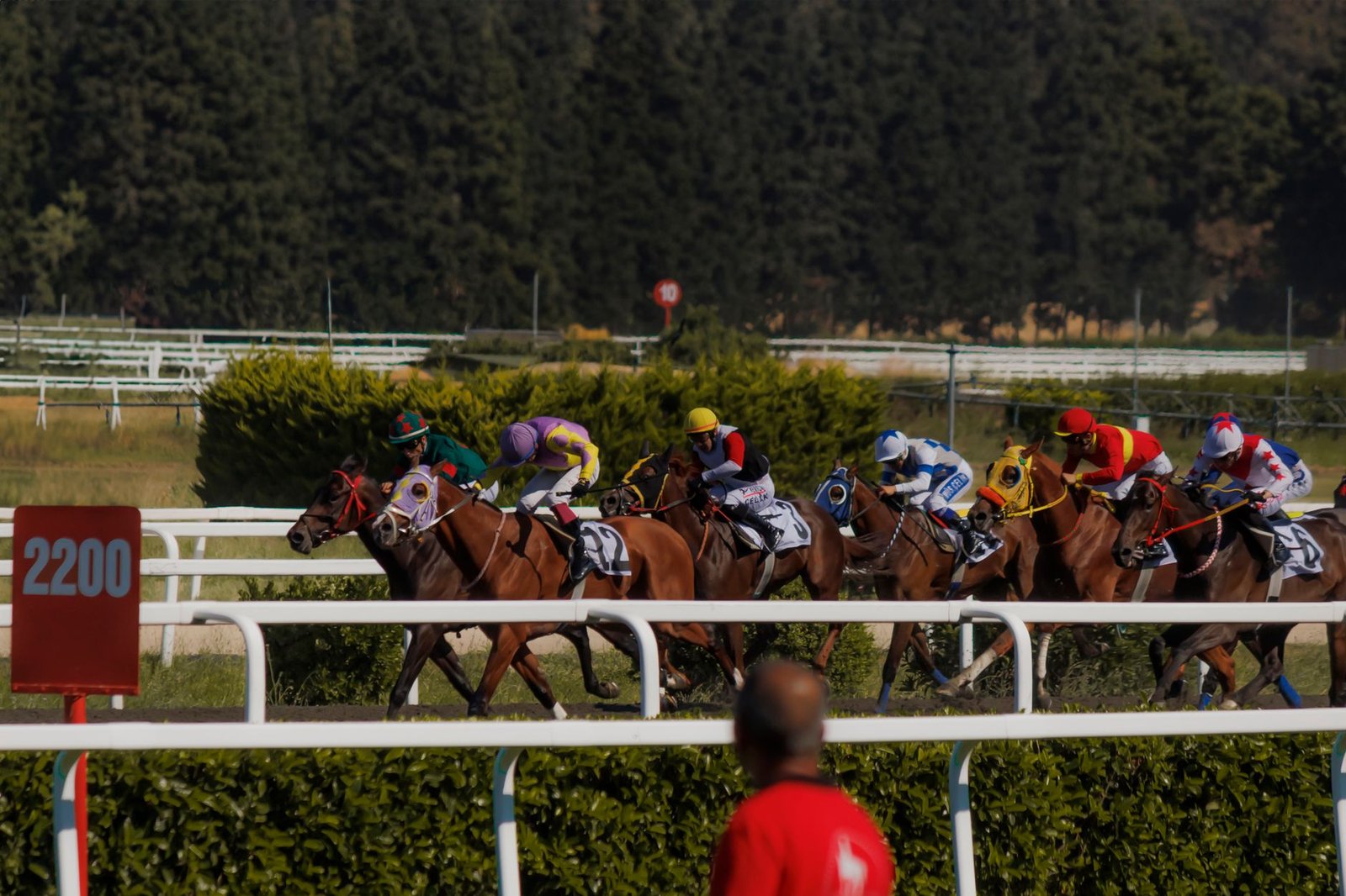 jockeys riding racing horses at a hippodrome